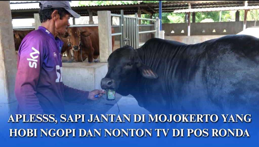 Mojokerto